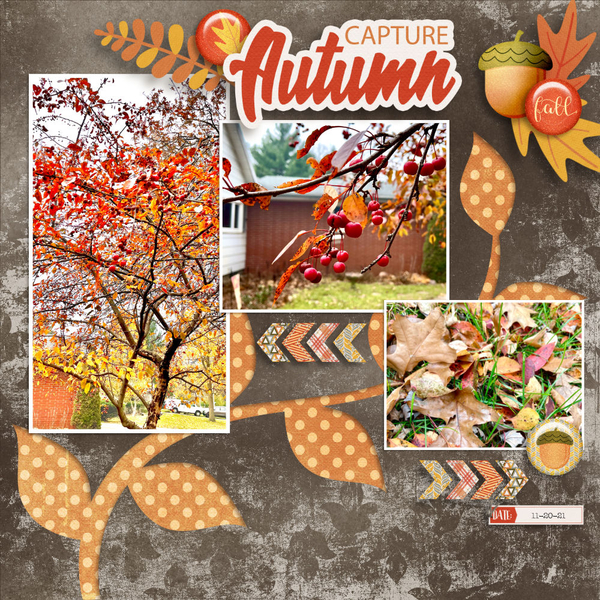 Capture Autumn