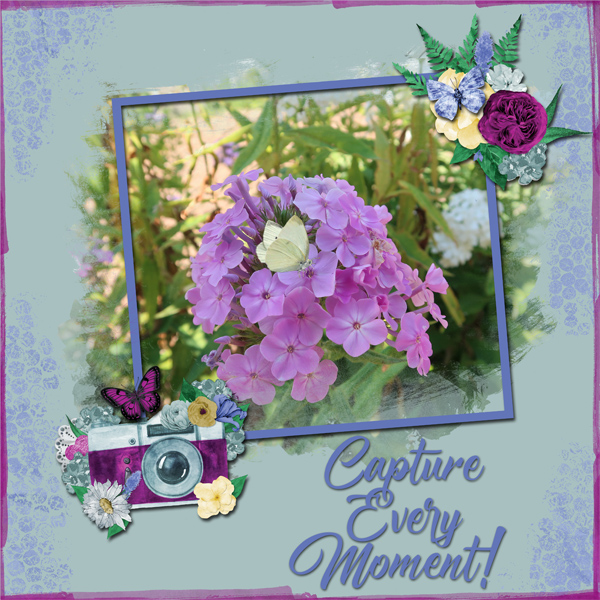 Capture Every Moment