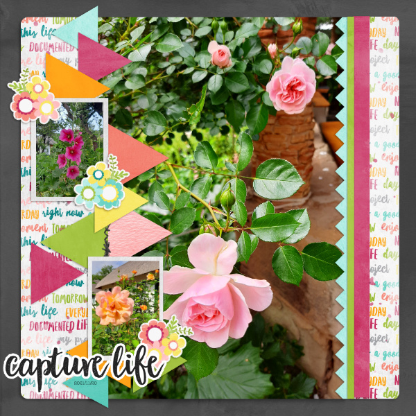 Capture Life