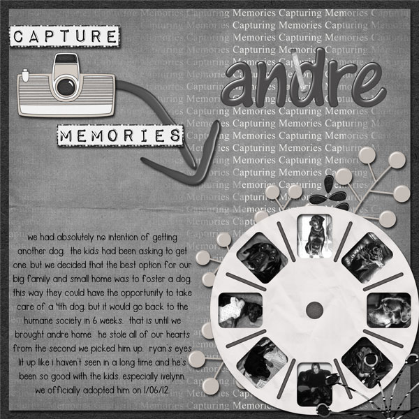 Capture Memories