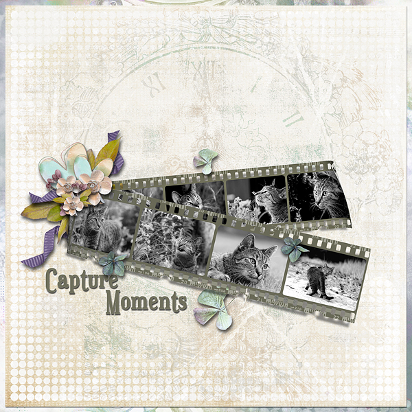 Capture Moments