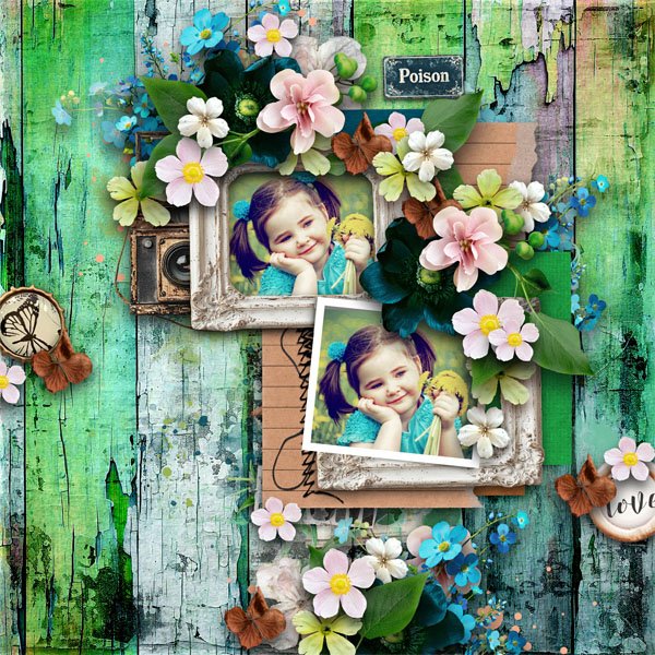 Capture The Beauty Of Spring