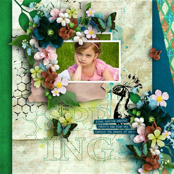 Capture The Beauty Of Spring