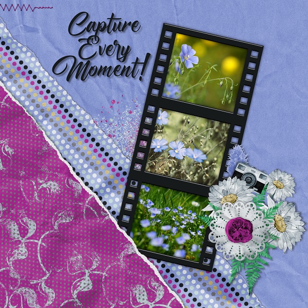 Capture the moment