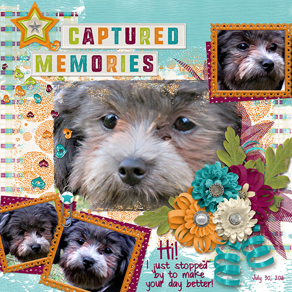 Captured Memories