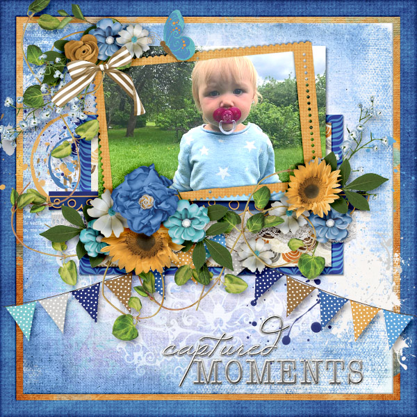 Captured-Moments1