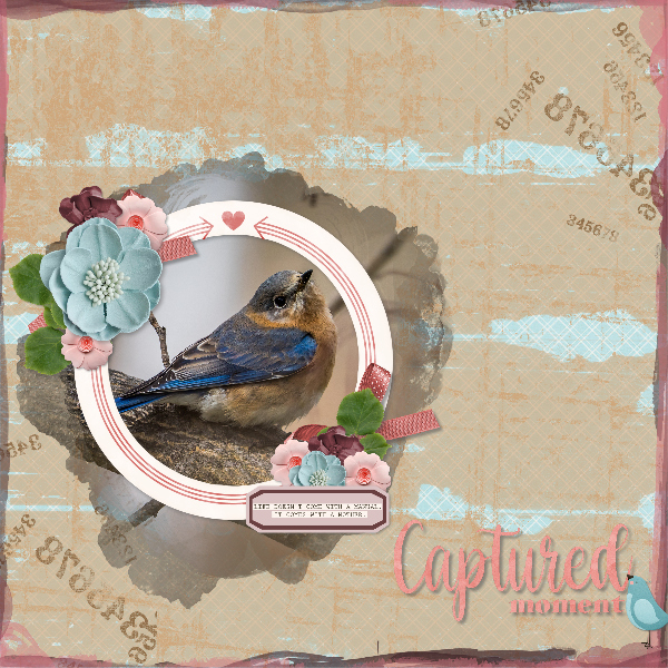 captured_moment