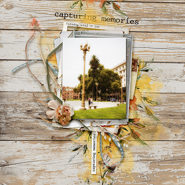 Capturing Memories