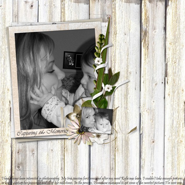 Capturing the Memories