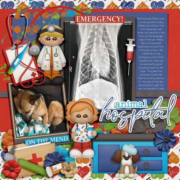 Car Accident Vet Emergency