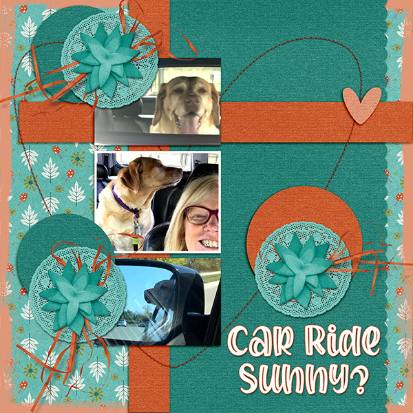 Car Ride Sunny