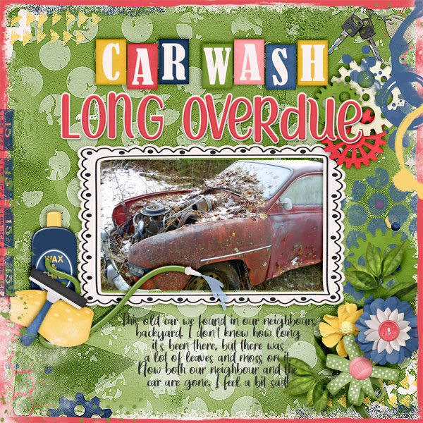 Car-wash-long-overdue