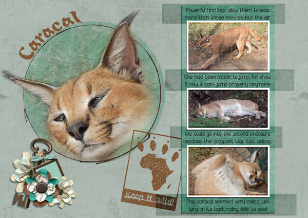 Caracal-S