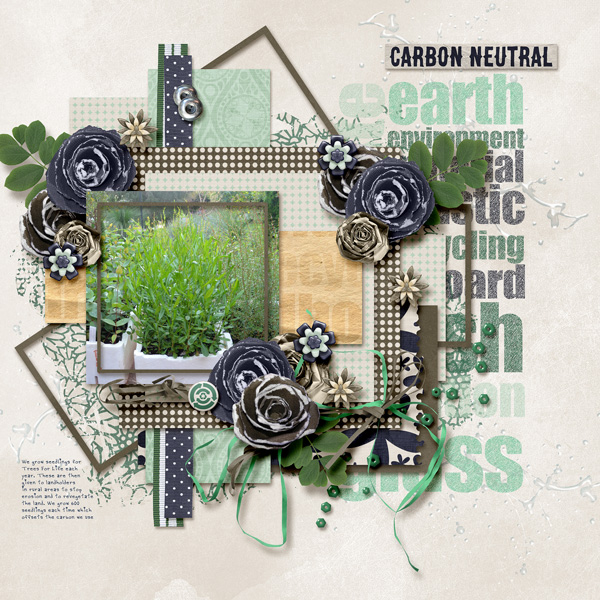 Carbon Neutral
