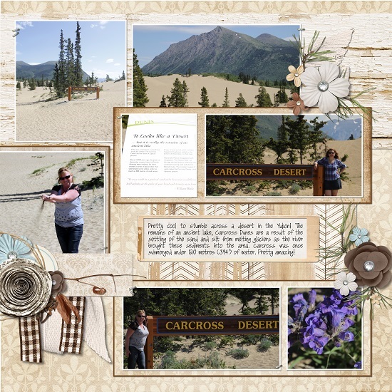 Carcross_Desert