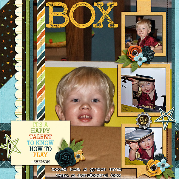 cardboard-box