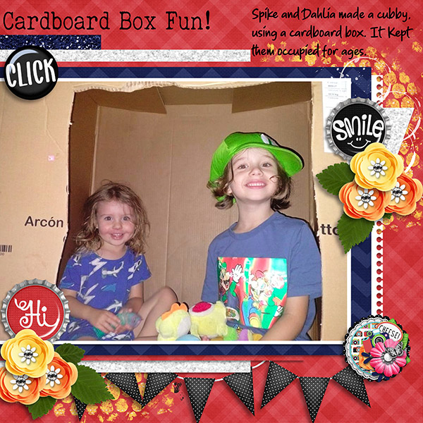 Cardboard Box