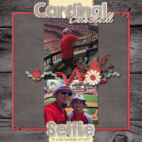 Cardinal Baseball Selfie