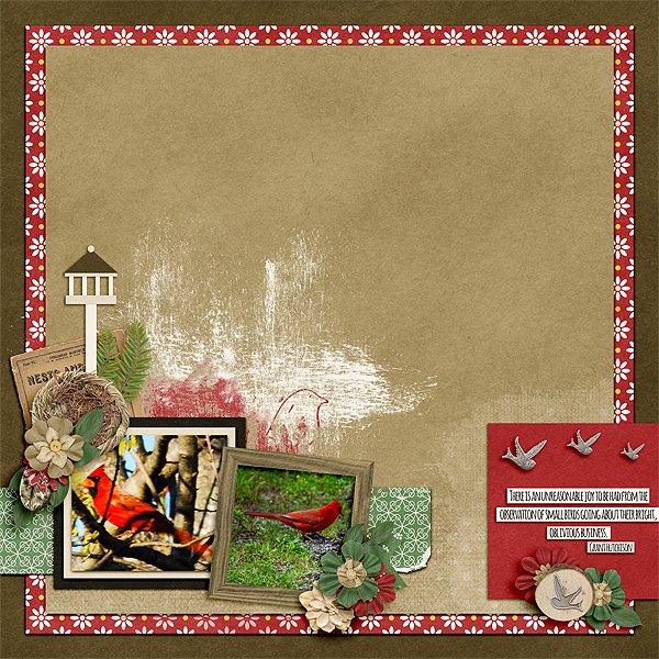 Cardinal-Sighting_web.jpg