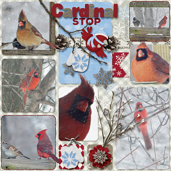 Cardinal Stop