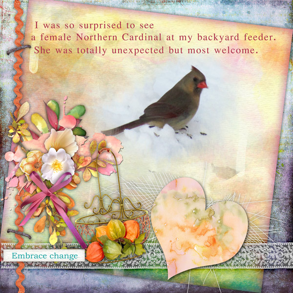 Cardinal Surprise