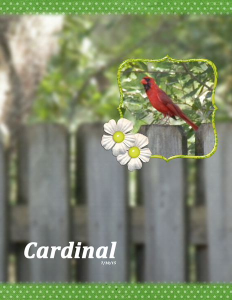 Cardinal