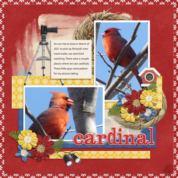 cardinal