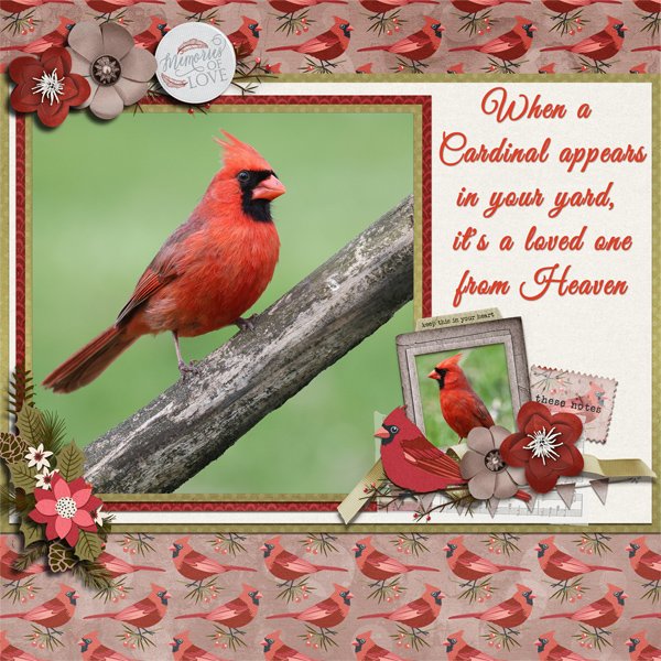 Cardinal