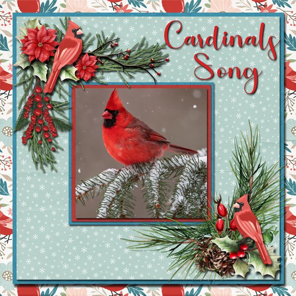 Cardinal