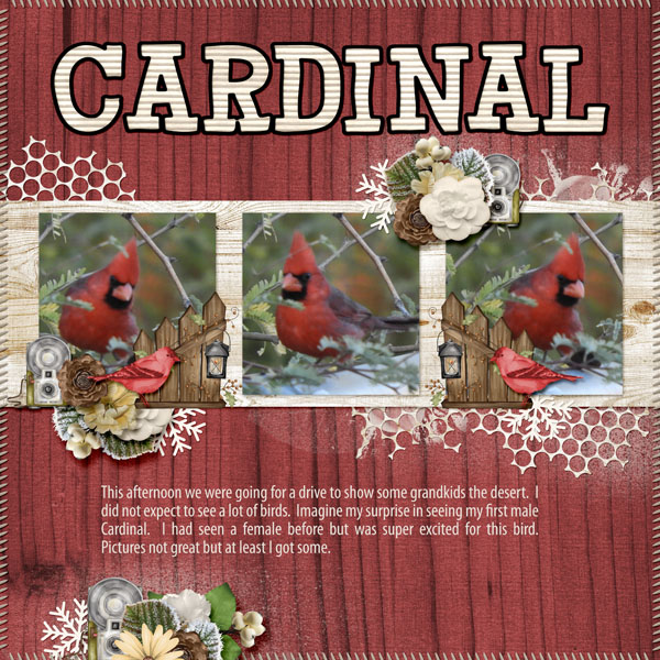 Cardinal_small