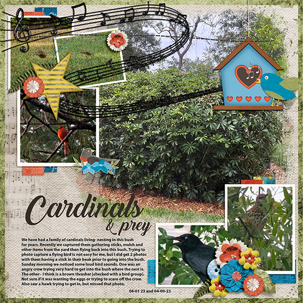 Cardinals and prey