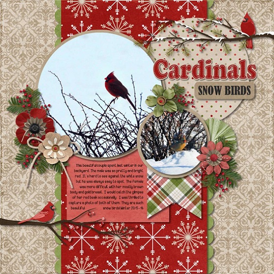 Cardinals snow birds