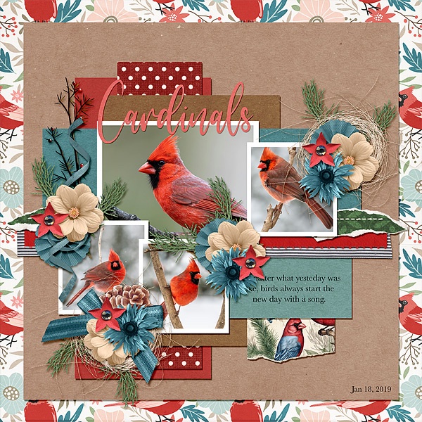 Cardinals Song