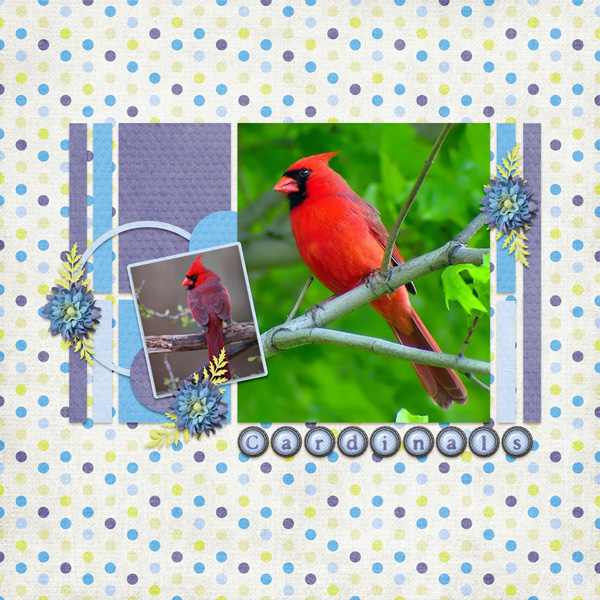 Cardinals