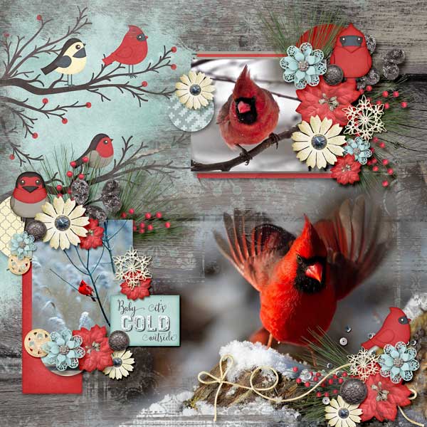 Cardinals