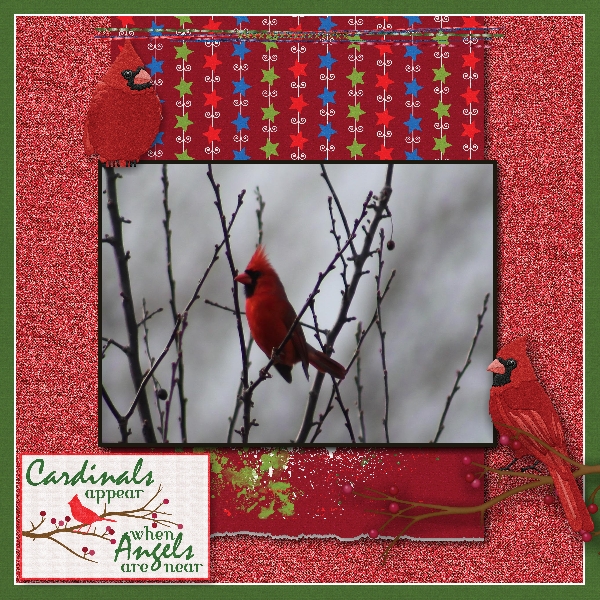 Cardinals