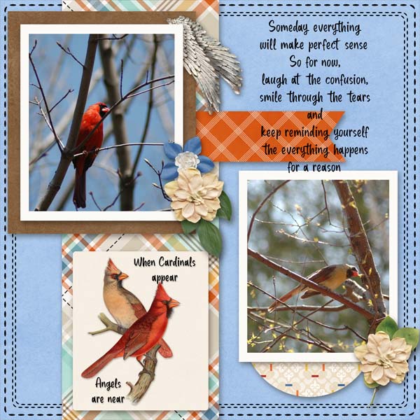 Cardinals3