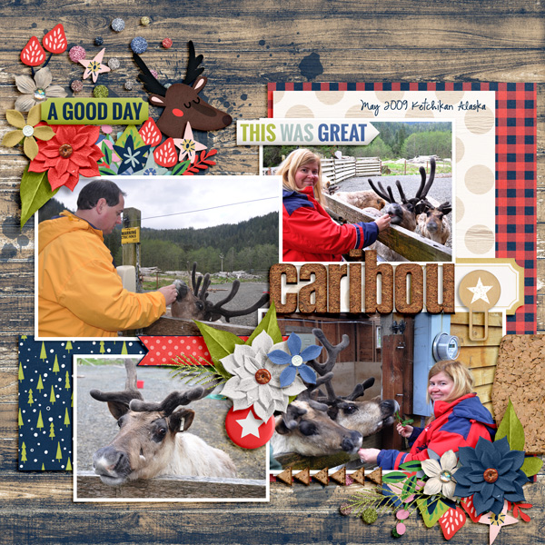 caribou