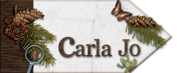 Carla Jo Signature May 2015