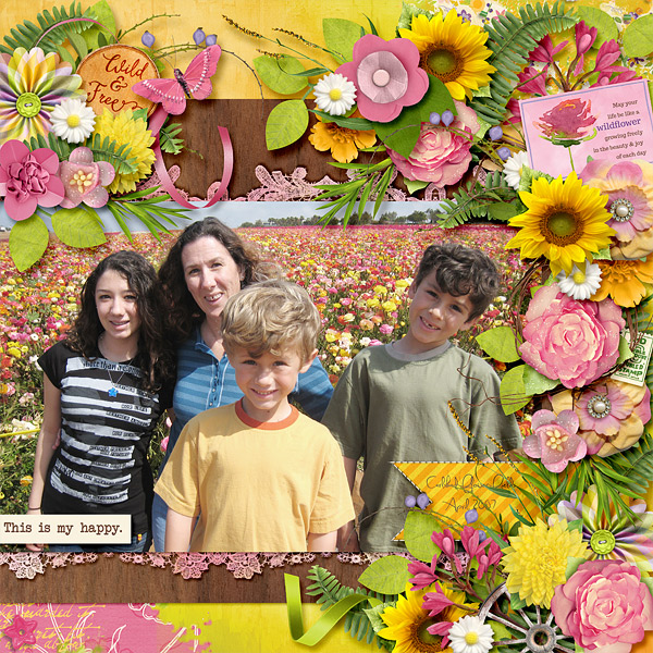 Carlsbad Flower Fields