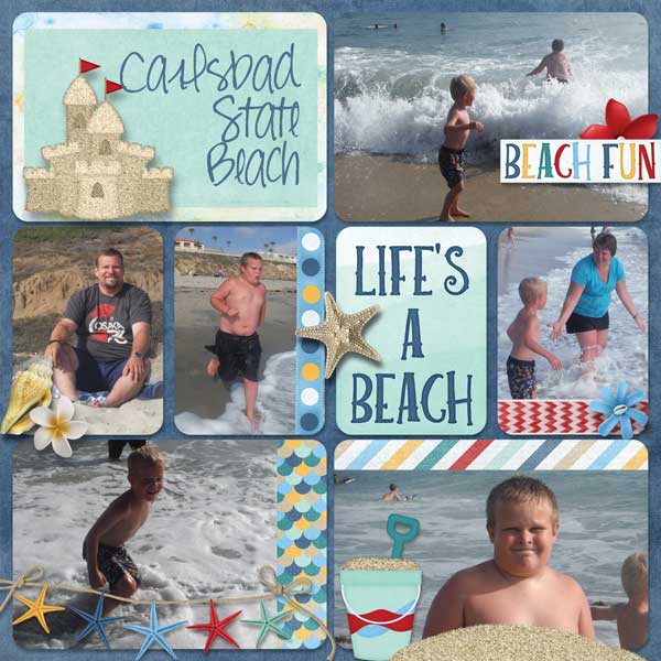 Carlsbad State Beach