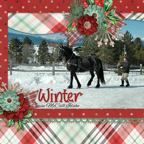 Carol-and-horses-copy