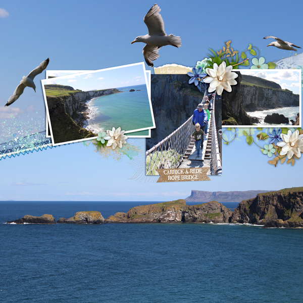 Carrickarede Bridge