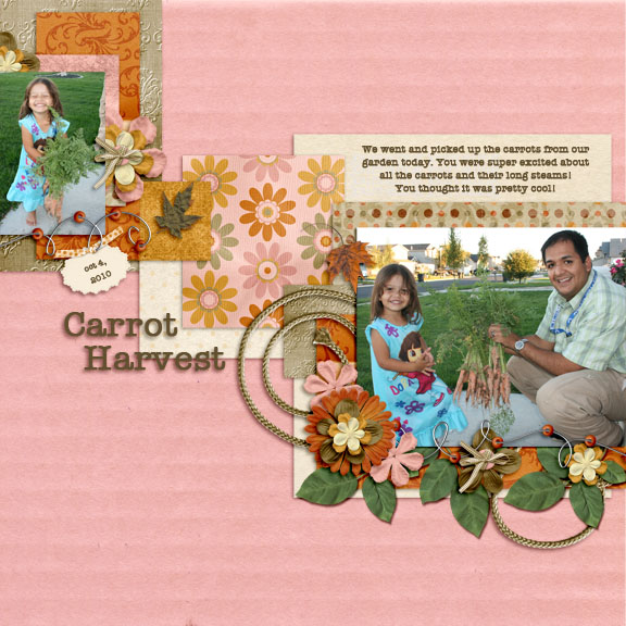 Carrot Harvest