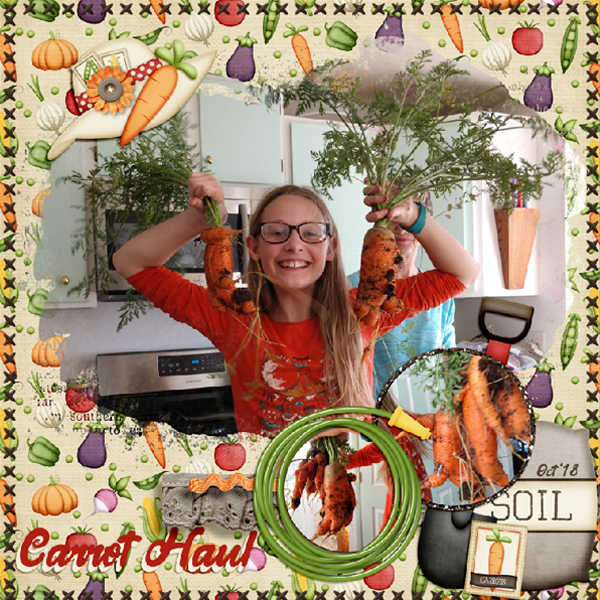Carrot Haul