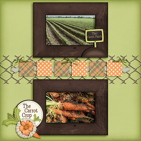 Carrot Patch