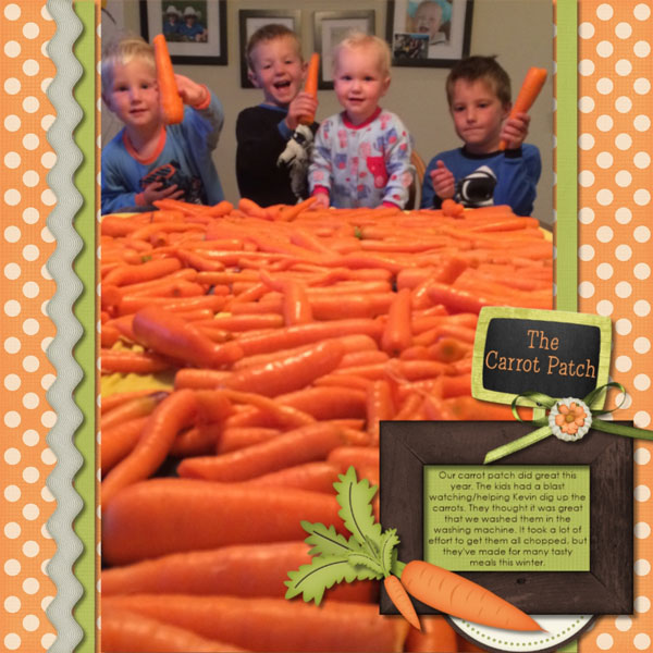 Carrot Patch