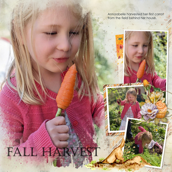 Carrot time