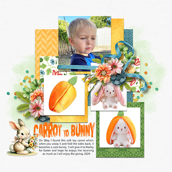 Carrot to Bunny