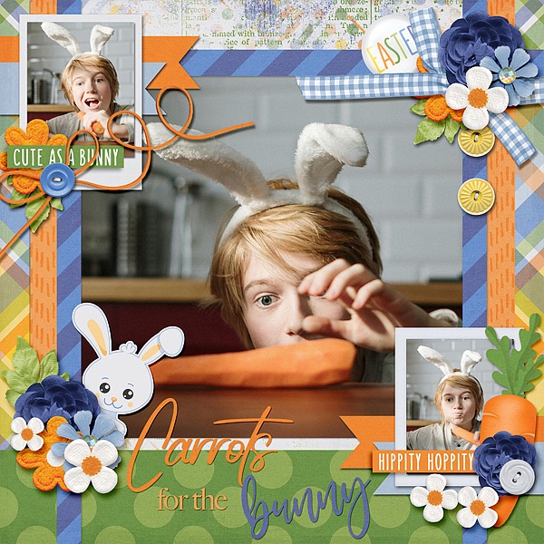 Carrots for the Bunny